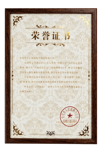 "Doubling Plan" Municipal Pilot Enterprise, Dongguan