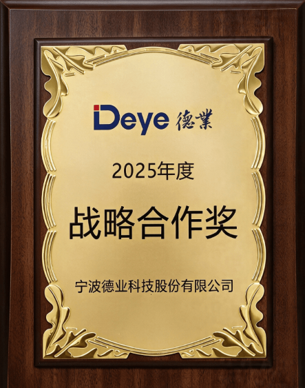 Strategic Cooperation Award